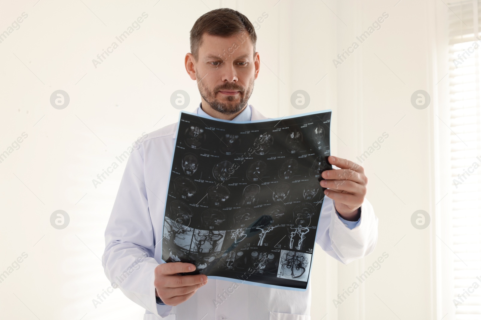 Doctor examining brain MRI scan in clinic Photo of Doctor examining brain MRI scan in clinic