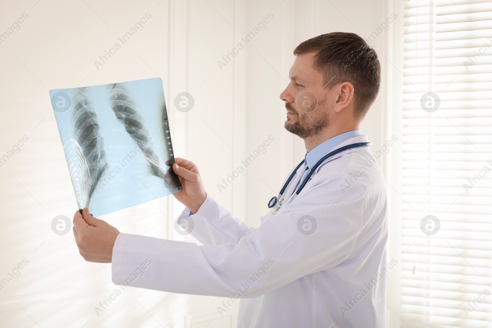 Doctor examining lung MRI scan in clinic Photo of Doctor examining lung MRI scan in clinic