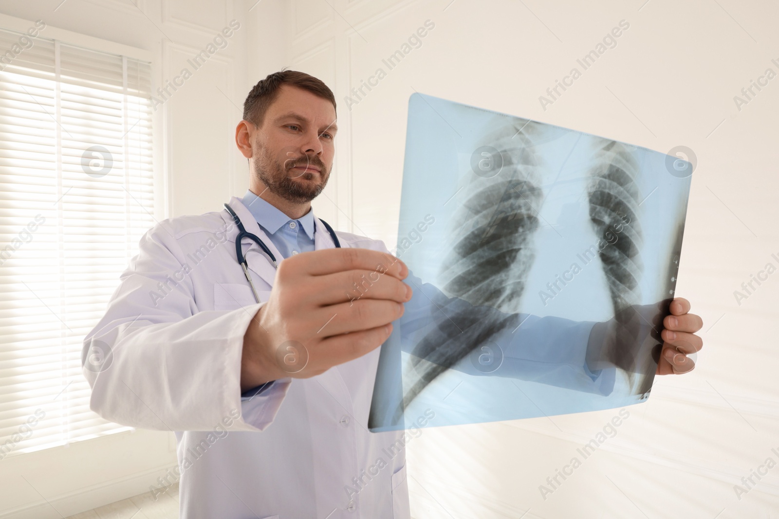 Doctor examining lung MRI scan in clinic Photo of Doctor examining lung MRI scan in clinic