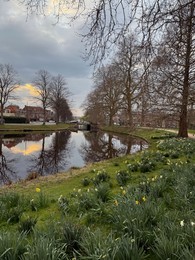 Photo of Leiden, Netherlands - March 22, 2025: Beautiful flowers and trees near city canal on cloudy day
