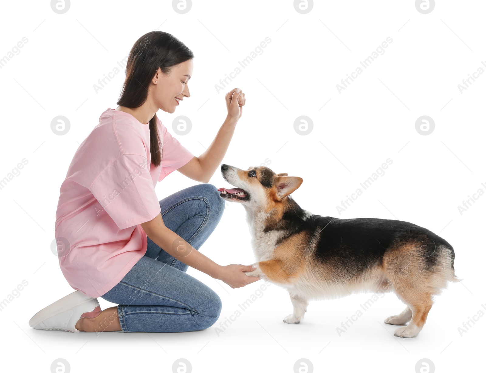 Happy woman training her dog on white background Photo of Happy woman training her dog on white background