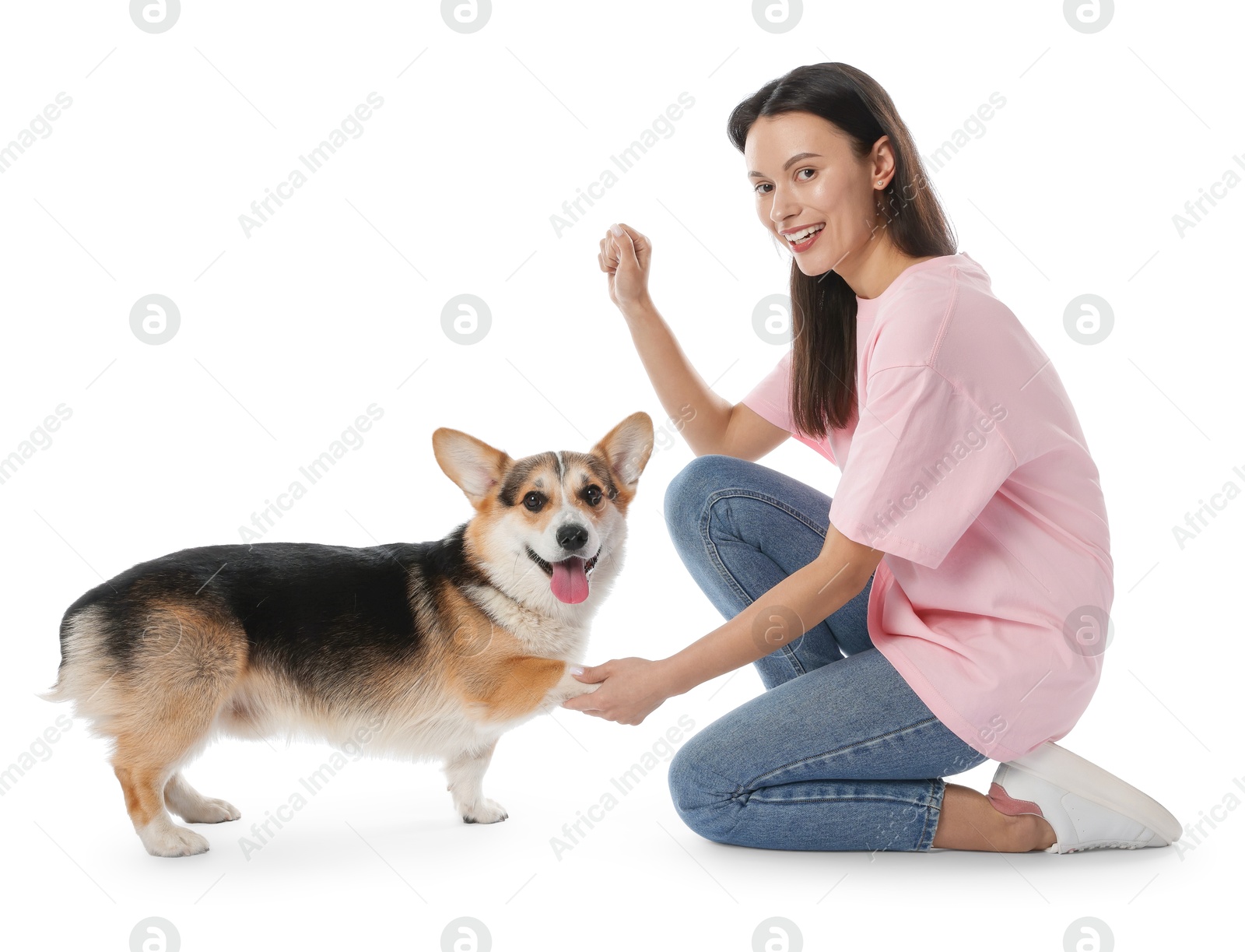 Happy woman training her dog on white background Photo of Happy woman training her dog on white background