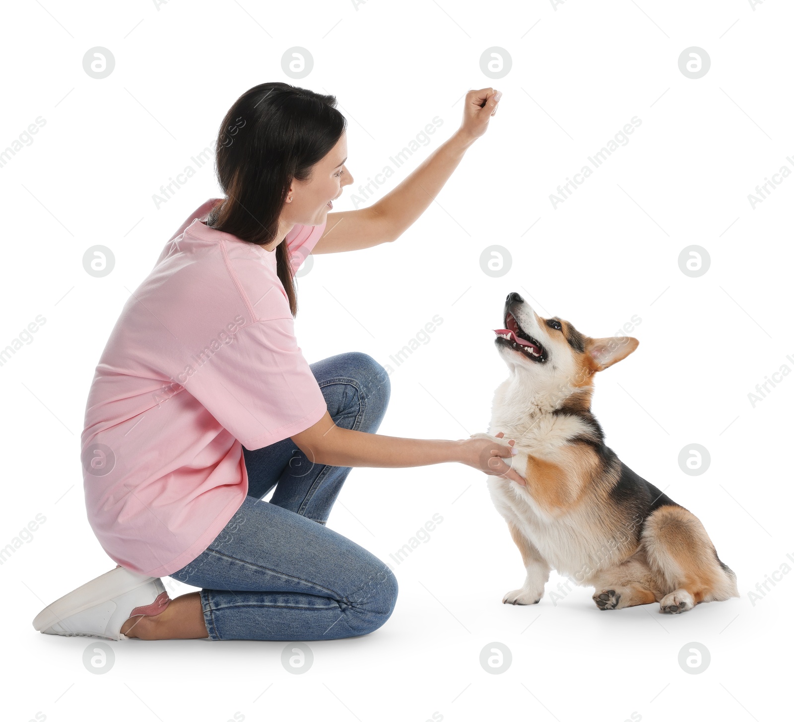 Happy woman training her dog on white background Photo of Happy woman training her dog on white background