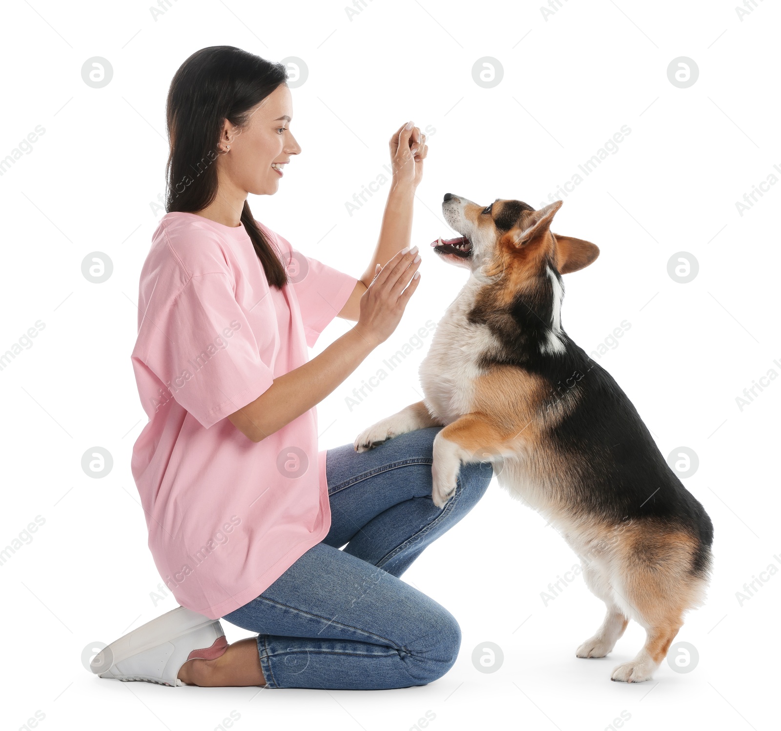 Happy woman training her dog on white background Photo of Happy woman training her dog on white background