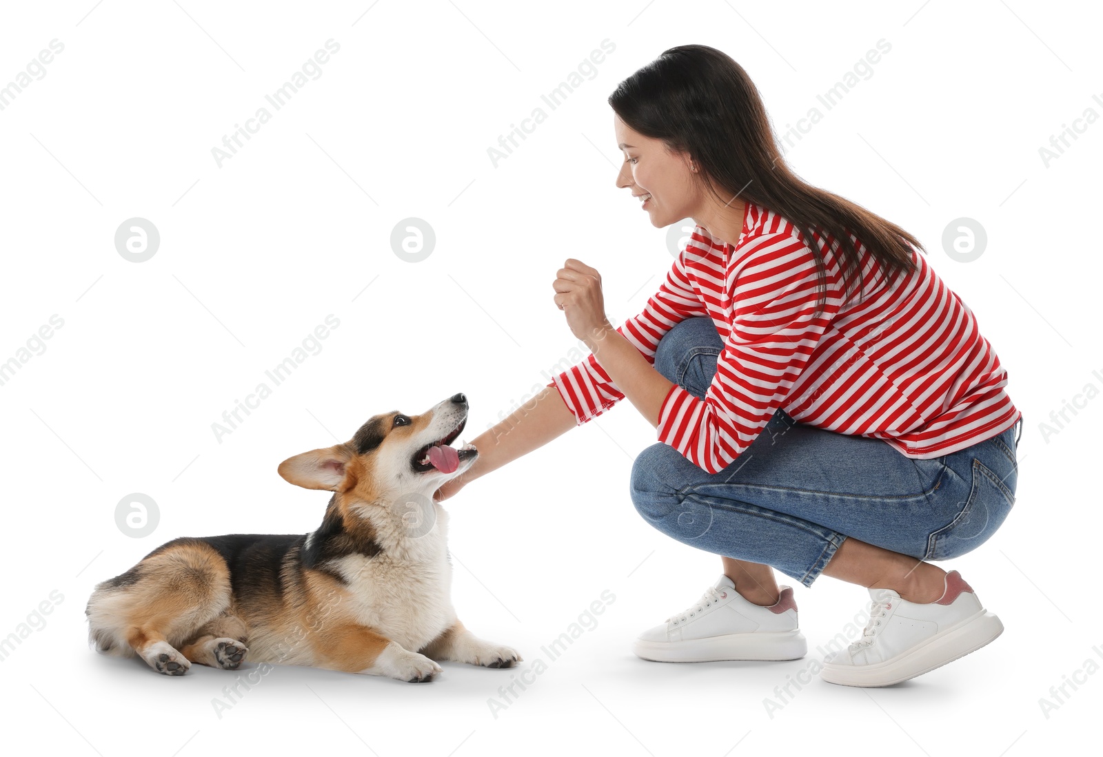 Happy woman training her dog on white background Photo of Happy woman training her dog on white background