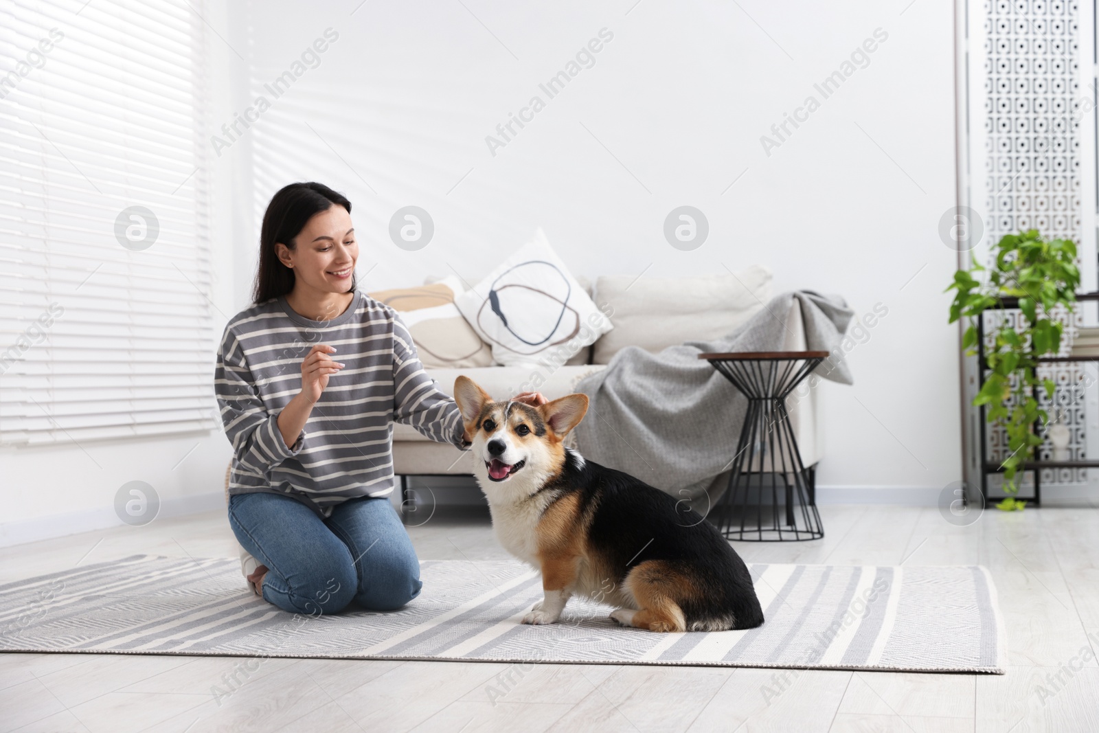 Happy woman training her dog on floor at home Photo of Happy woman training her dog on floor at home