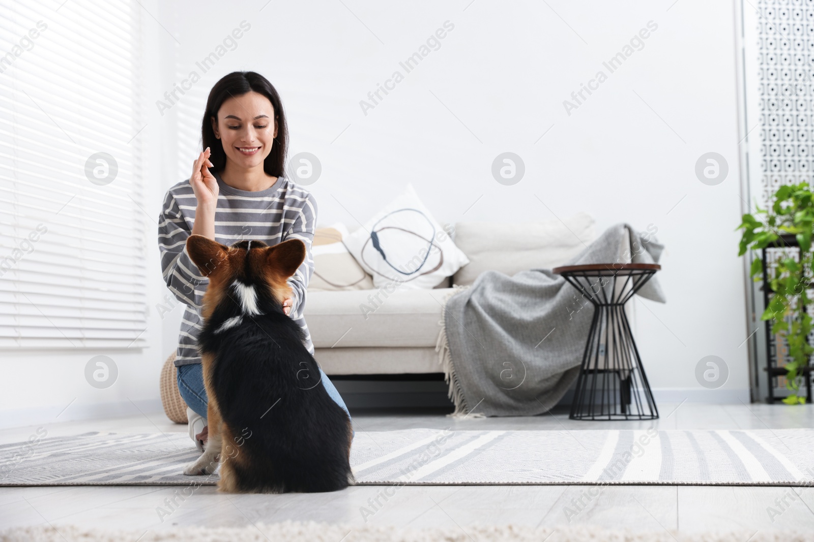 Happy woman training her dog on floor at home, space for text Photo of Happy woman training her dog on floor at home, space for text