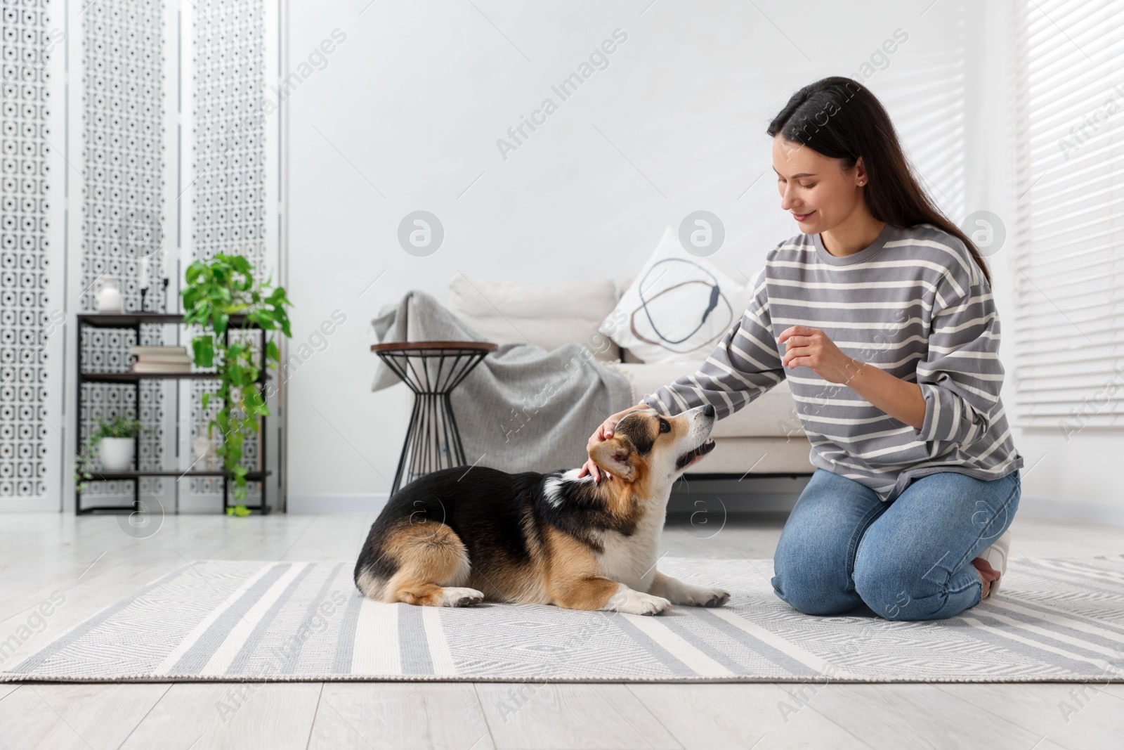 Happy woman training her dog on floor at home Photo of Happy woman training her dog on floor at home