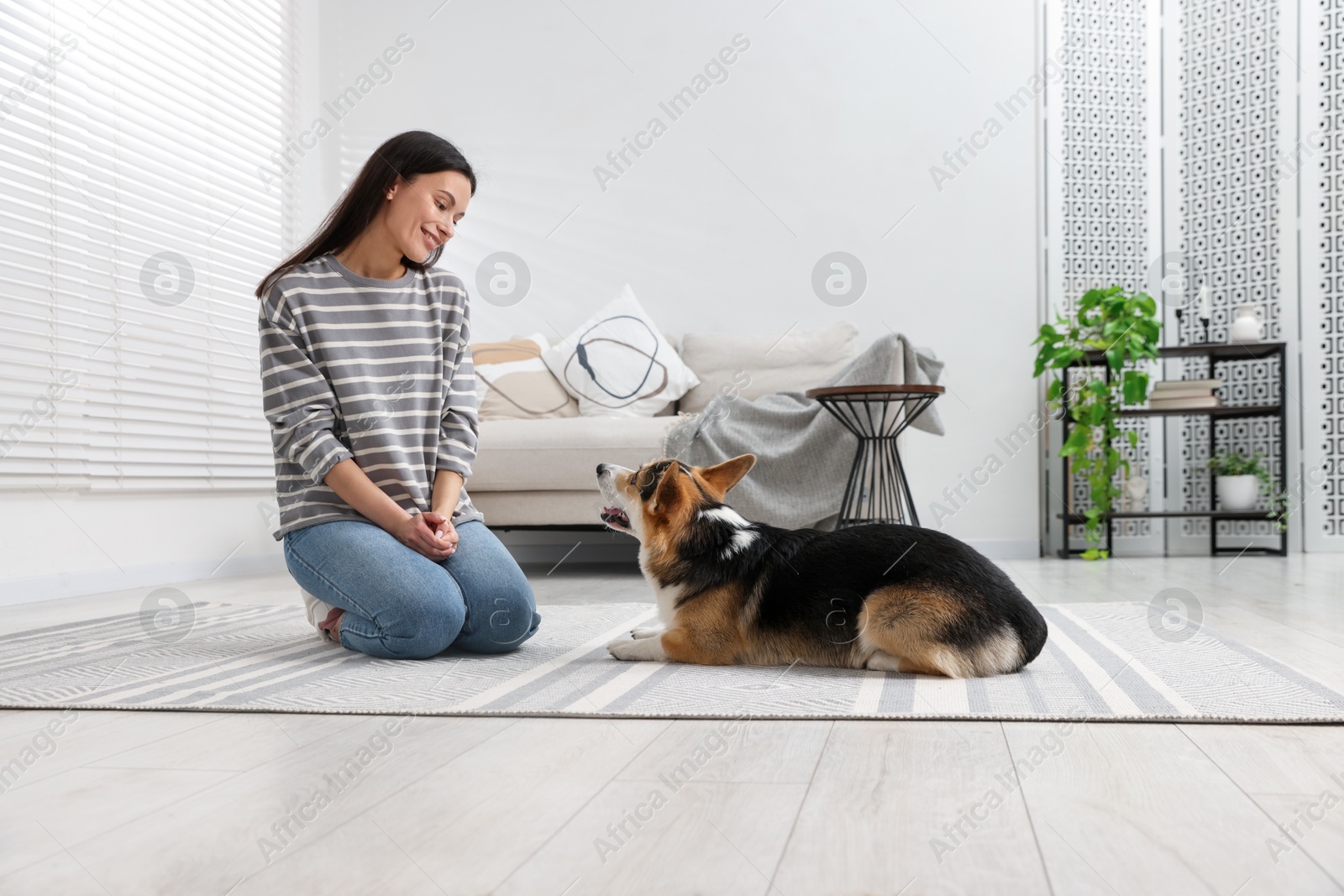 Happy woman training her dog on floor at home Photo of Happy woman training her dog on floor at home