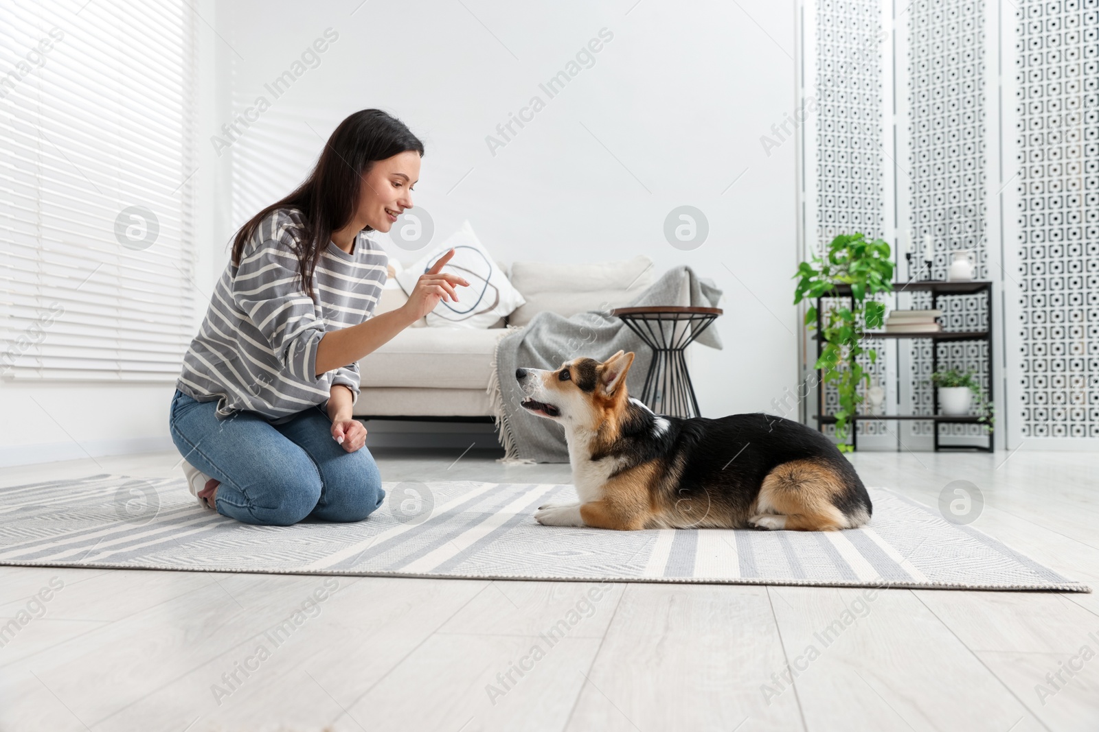 Happy woman training her dog on floor at home Photo of Happy woman training her dog on floor at home