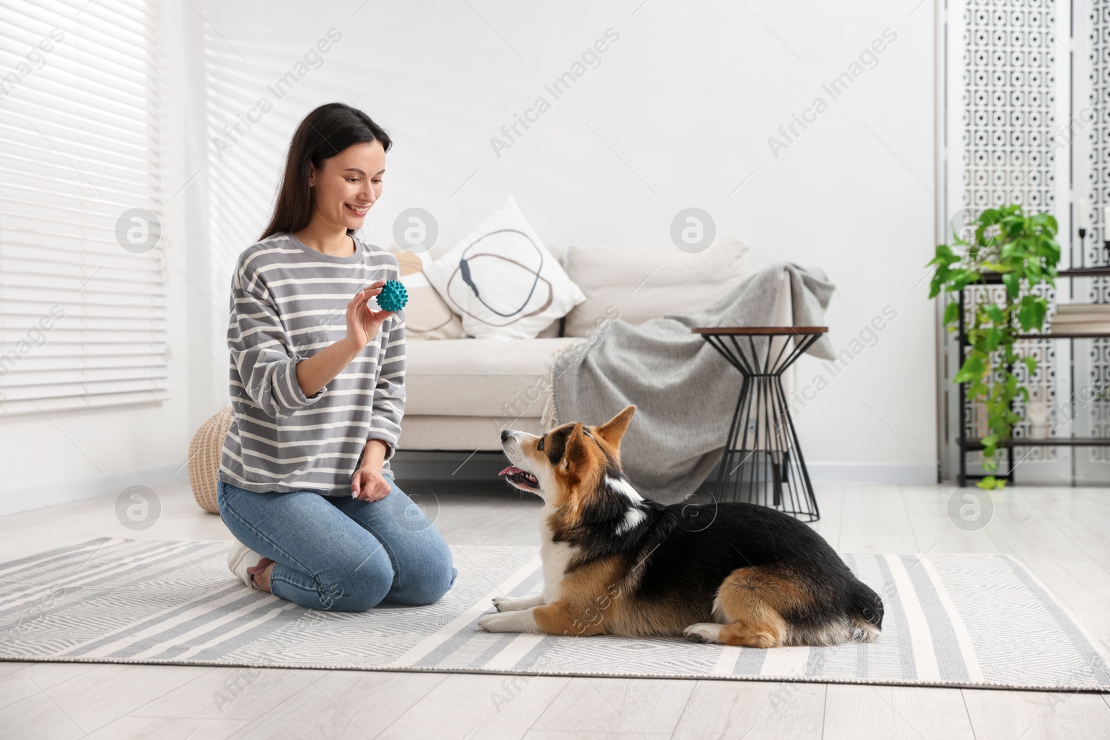 Happy woman with toy training her dog at home Photo of Happy woman with toy training her dog at home