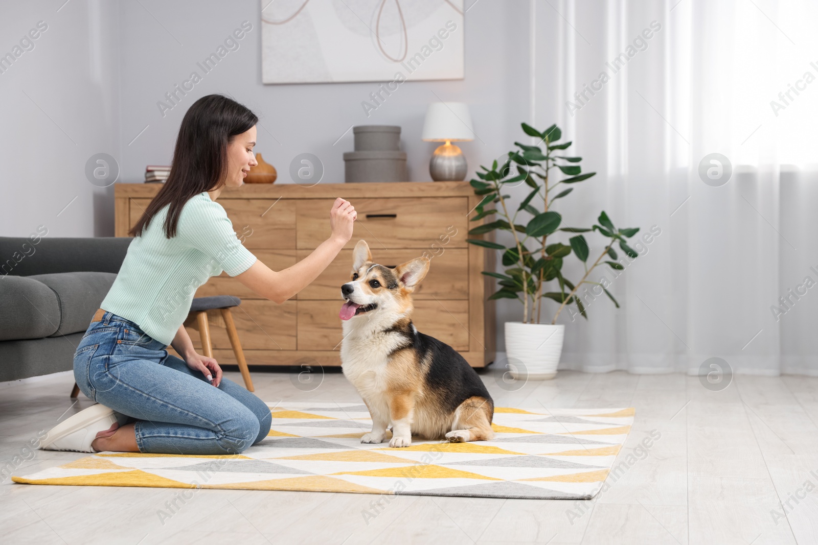 Happy woman training her dog on floor at home Photo of Happy woman training her dog on floor at home