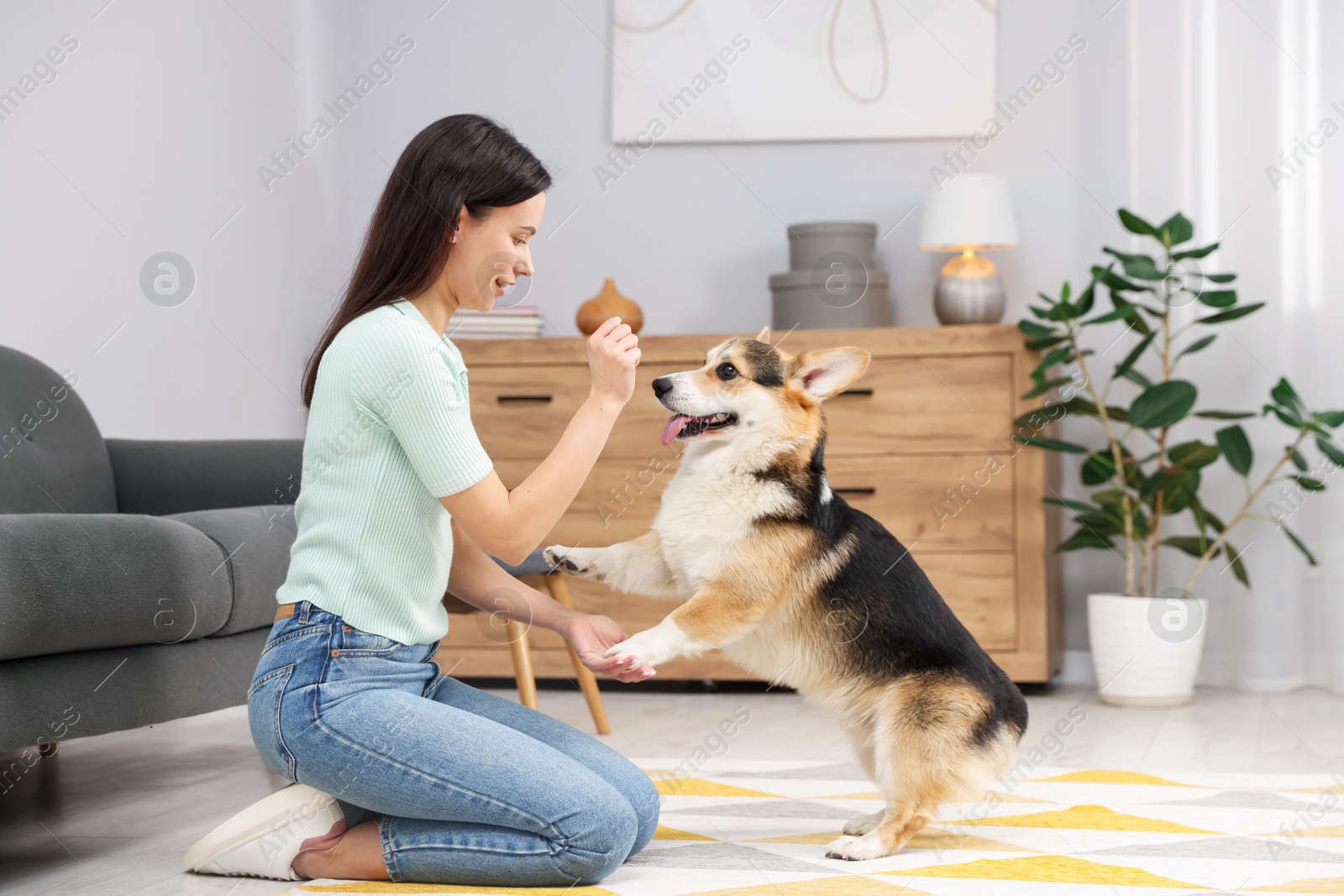 Happy woman training her dog on floor at home Photo of Happy woman training her dog on floor at home