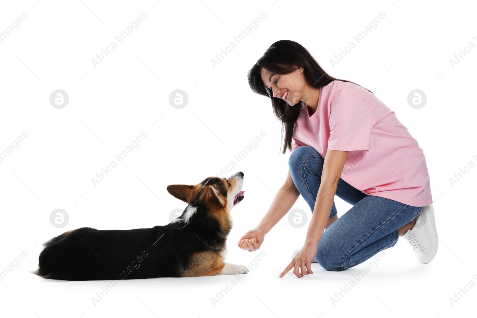Happy woman training her dog on white background Photo of Happy woman training her dog on white background