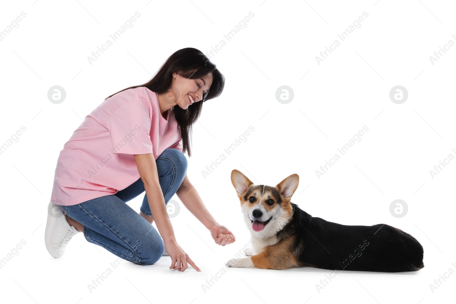 Happy woman training her dog on white background Photo of Happy woman training her dog on white background