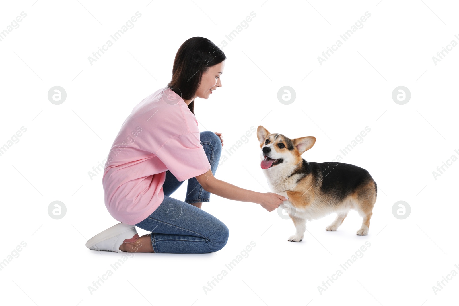 Happy woman training her dog on white background Photo of Happy woman training her dog on white background