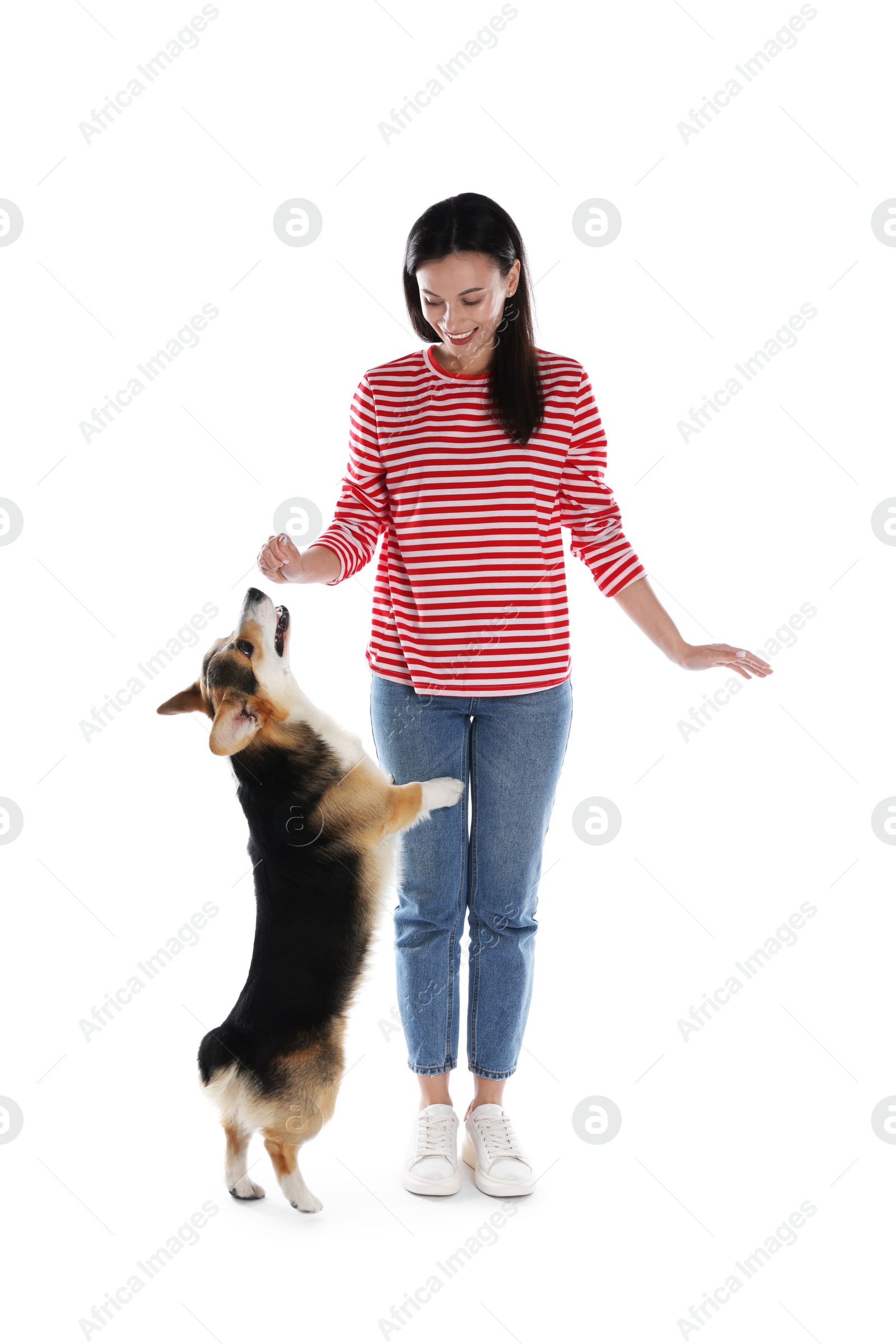 Happy woman training her dog on white background Photo of Happy woman training her dog on white background