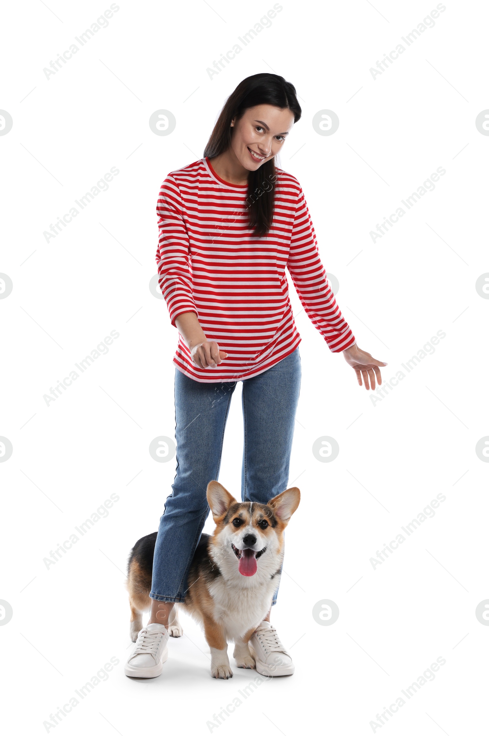 Happy woman training her dog on white background Photo of Happy woman training her dog on white background