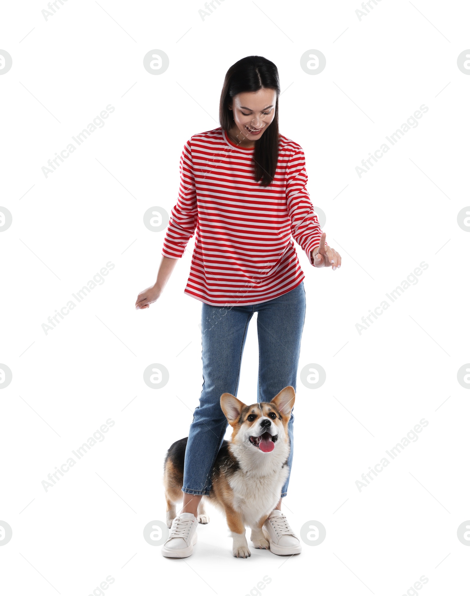 Happy woman training her dog on white background Photo of Happy woman training her dog on white background