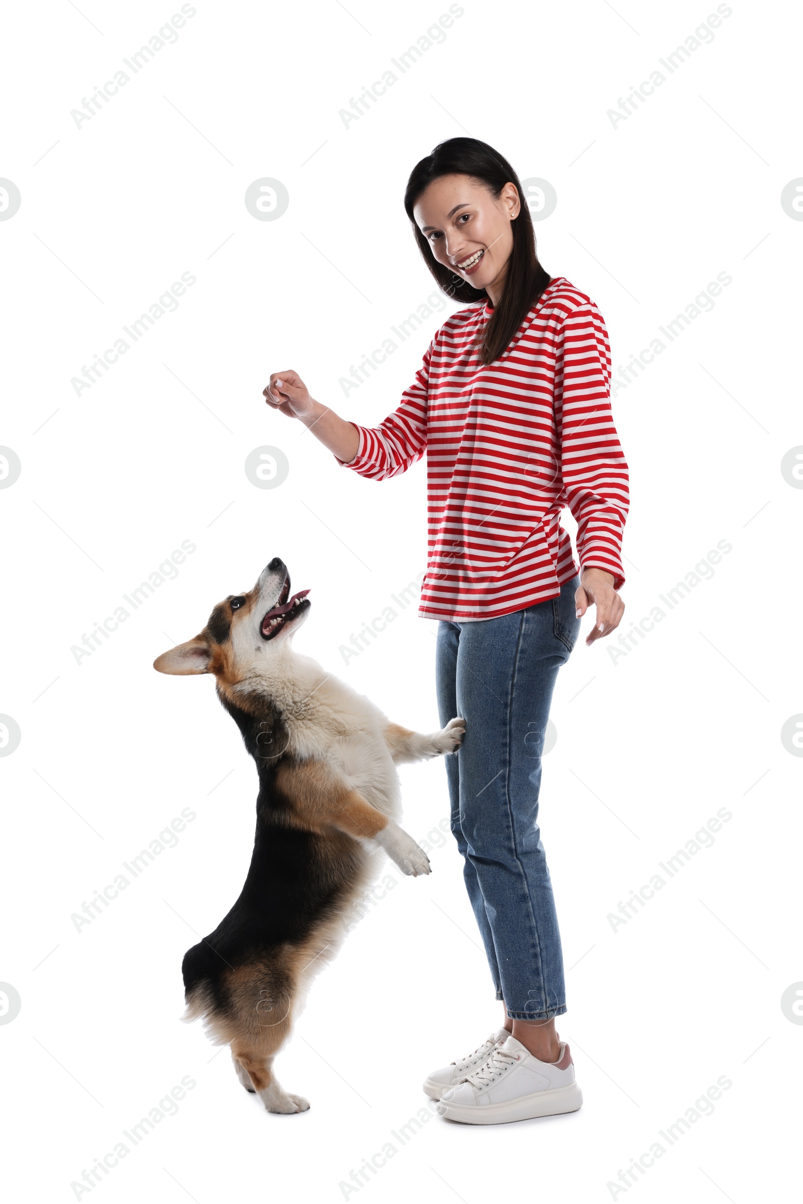 Happy woman training her dog on white background Photo of Happy woman training her dog on white background