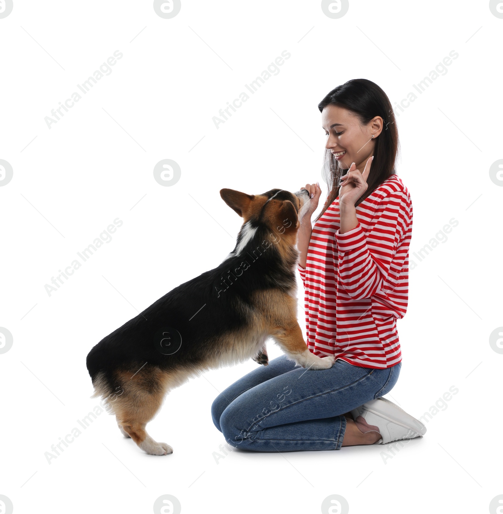 Happy woman training her dog on white background Photo of Happy woman training her dog on white background
