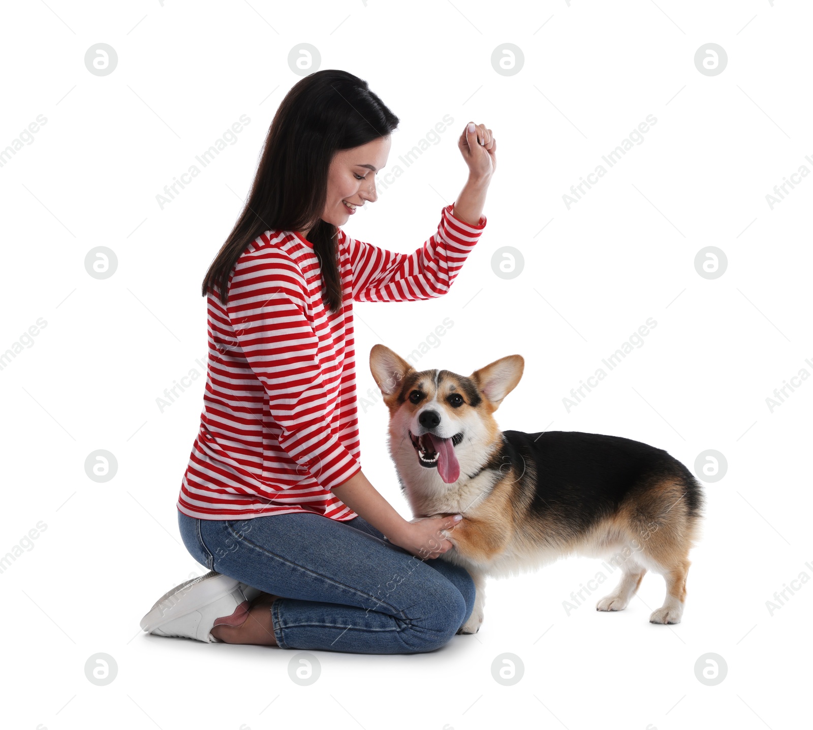 Happy woman training her dog on white background Photo of Happy woman training her dog on white background