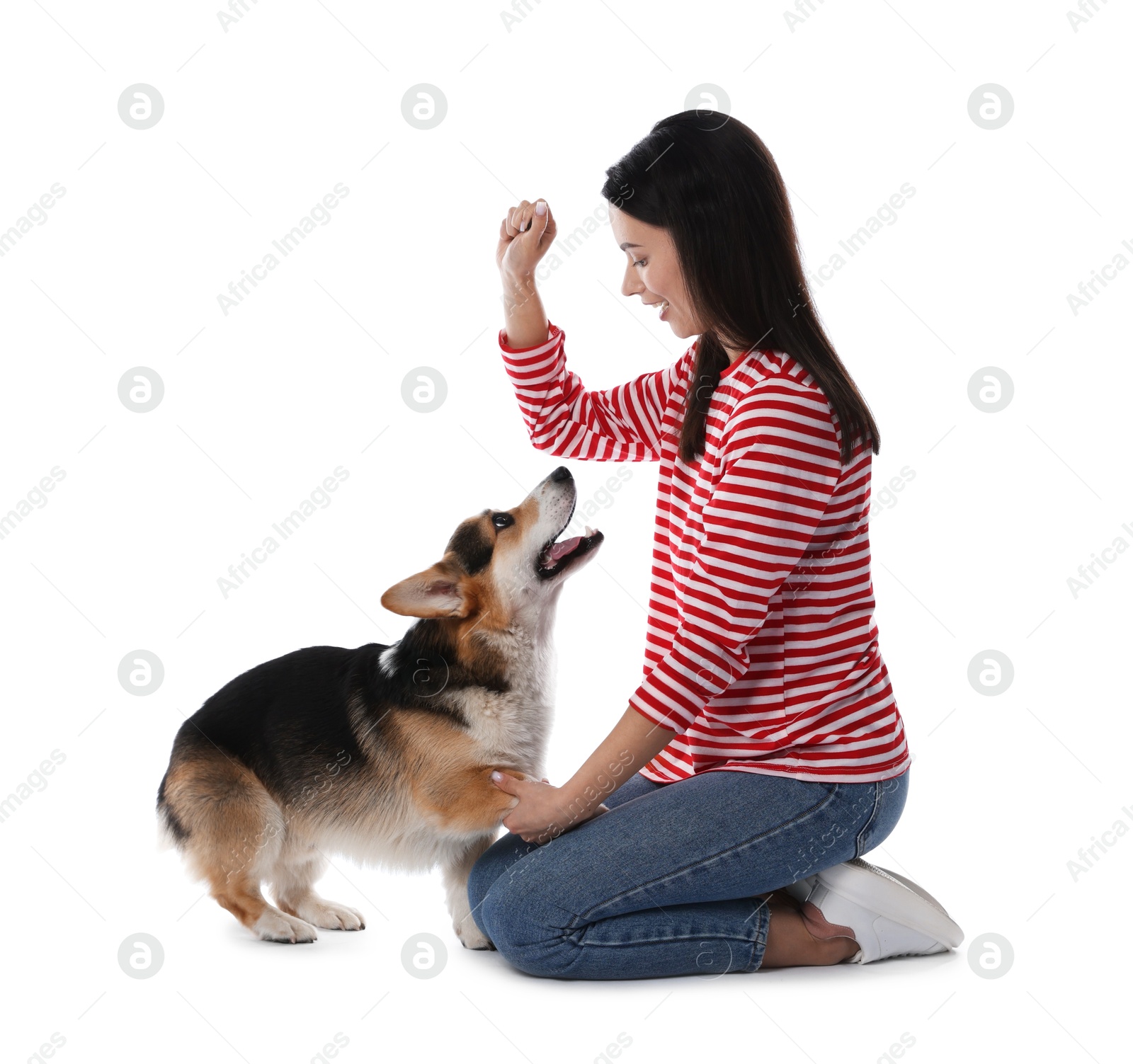 Happy woman training her dog on white background Photo of Happy woman training her dog on white background