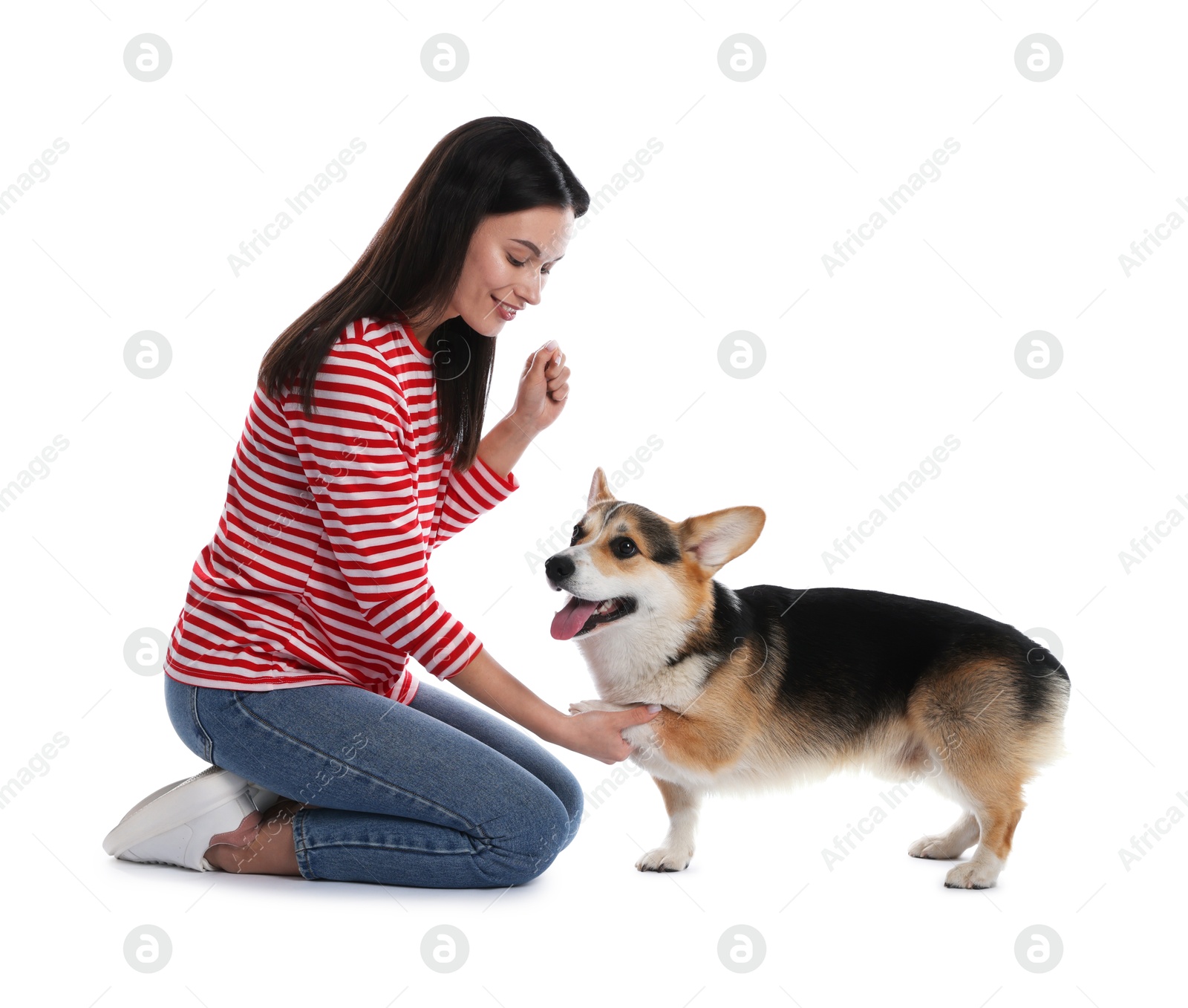 Happy woman training her dog on white background Photo of Happy woman training her dog on white background