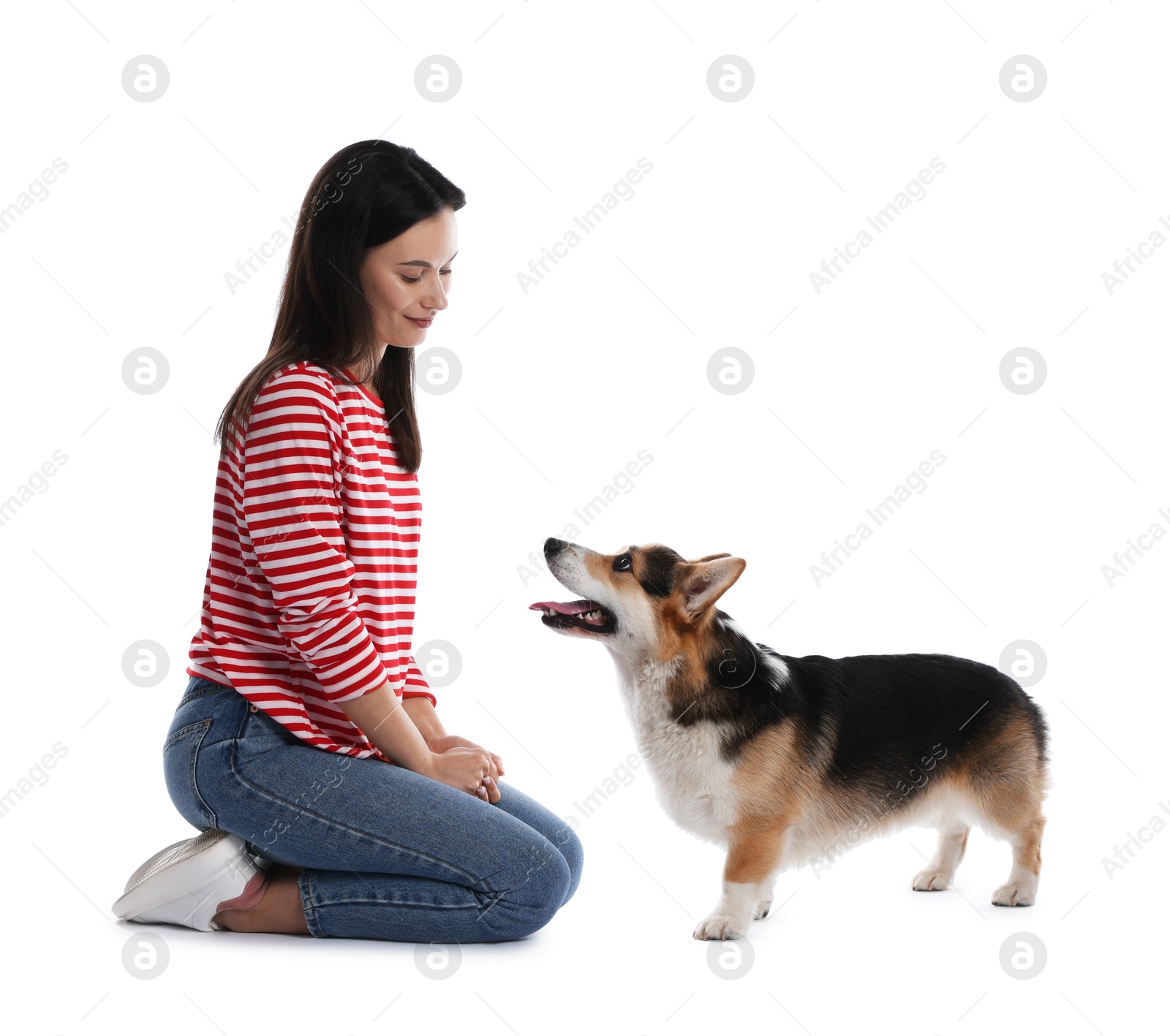 Happy woman training her dog on white background Photo of Happy woman training her dog on white background