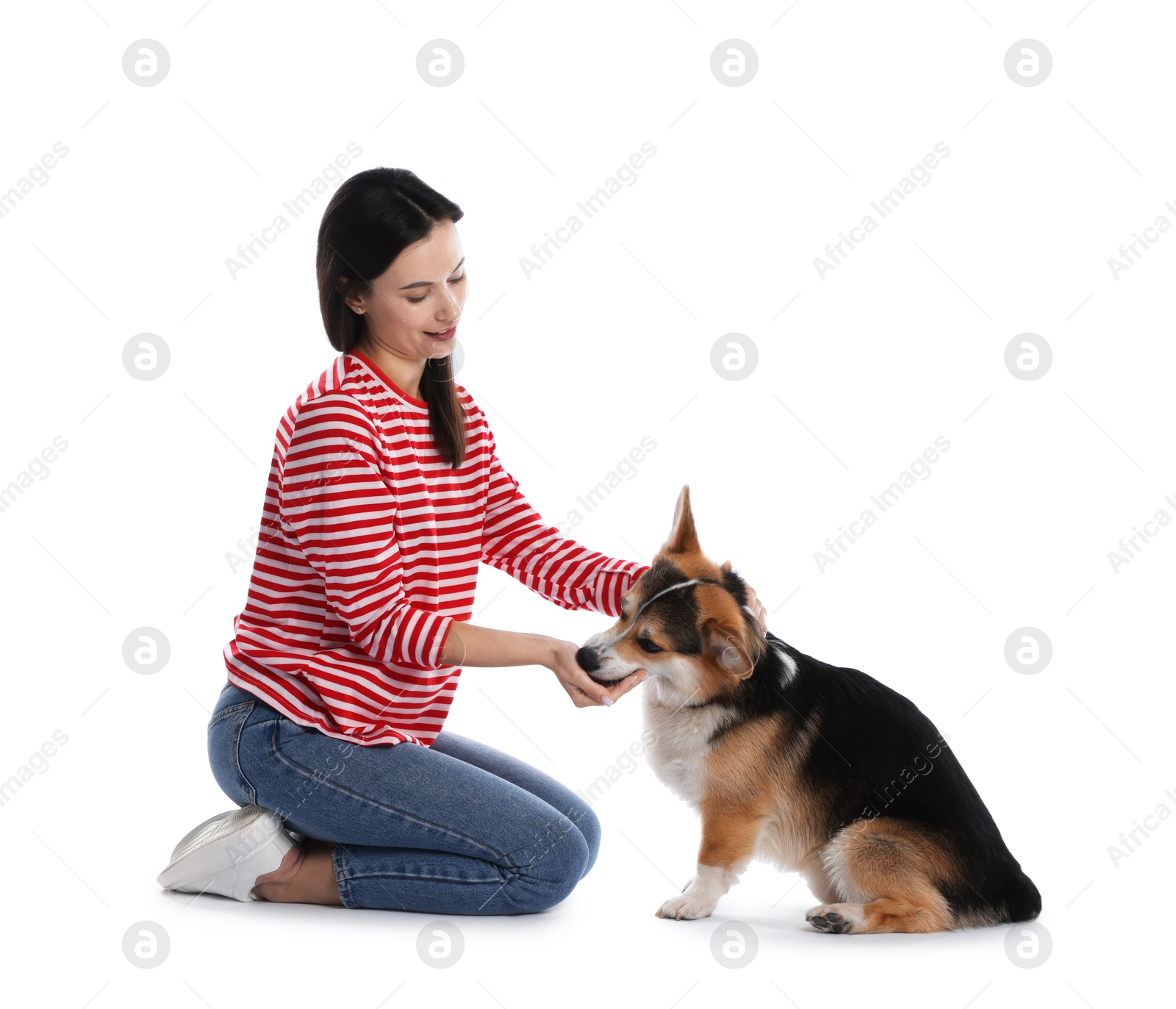 Happy woman training her dog on white background Photo of Happy woman training her dog on white background