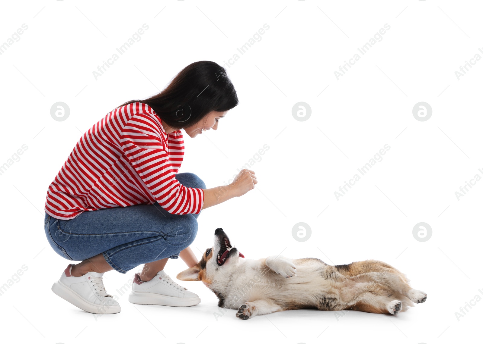 Happy woman training her dog on white background Photo of Happy woman training her dog on white background