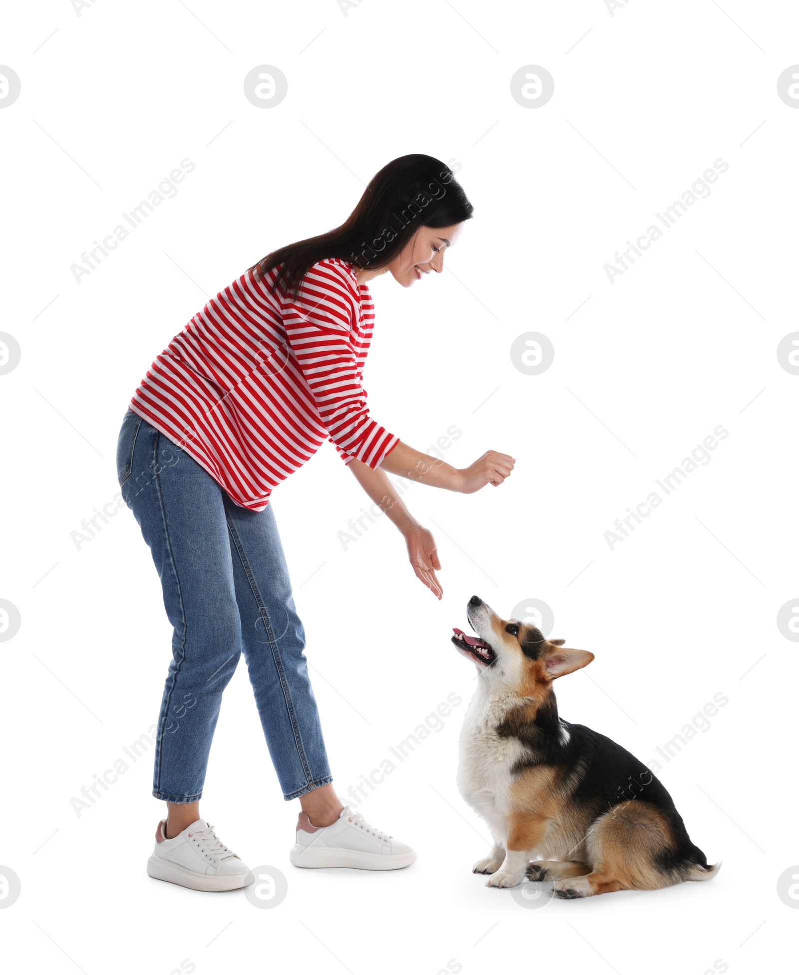 Happy woman training her dog on white background Photo of Happy woman training her dog on white background