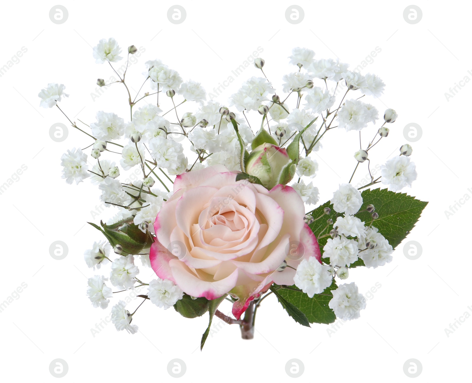 Bouquet with beautiful gypsophila and rose on white background Photo of Bouquet with beautiful gypsophila and rose on white background