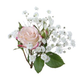 Photo of Bouquet with beautiful gypsophila and rose on white background