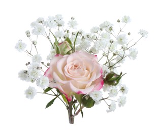 Photo of Bouquet with beautiful gypsophila and rose on white background
