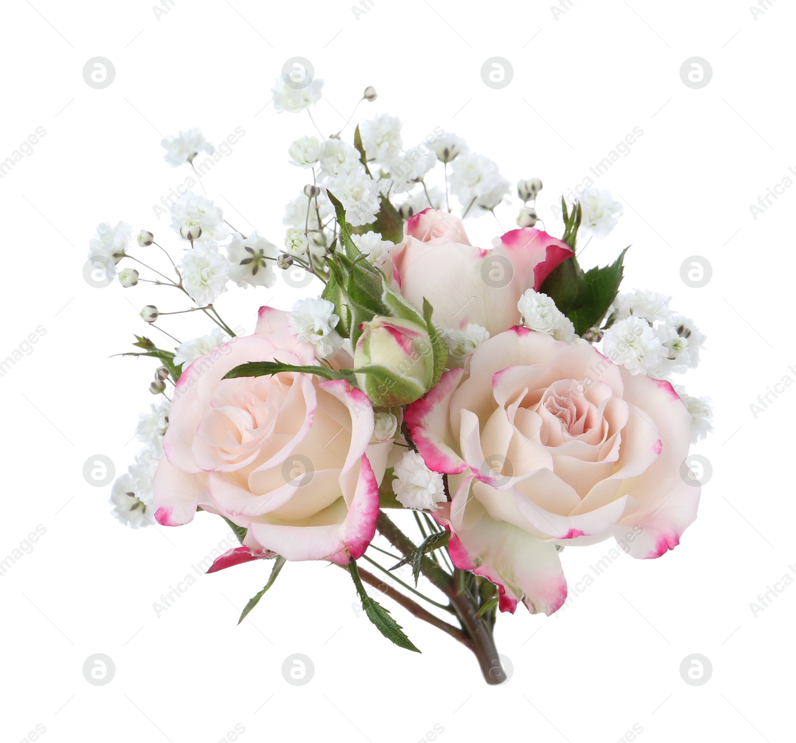 Bouquet with beautiful gypsophila and roses on white background Photo of Bouquet with beautiful gypsophila and roses on white background