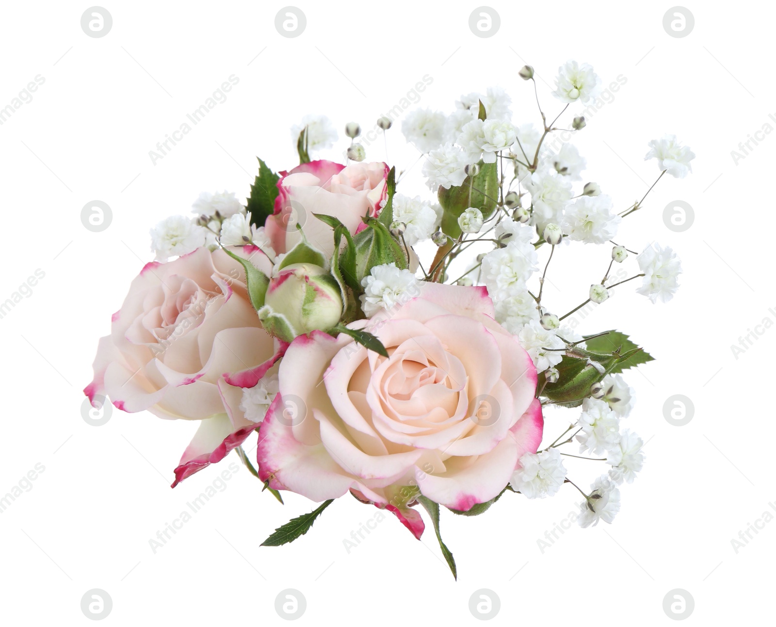 Bouquet with beautiful gypsophila and roses on white background Photo of Bouquet with beautiful gypsophila and roses on white background