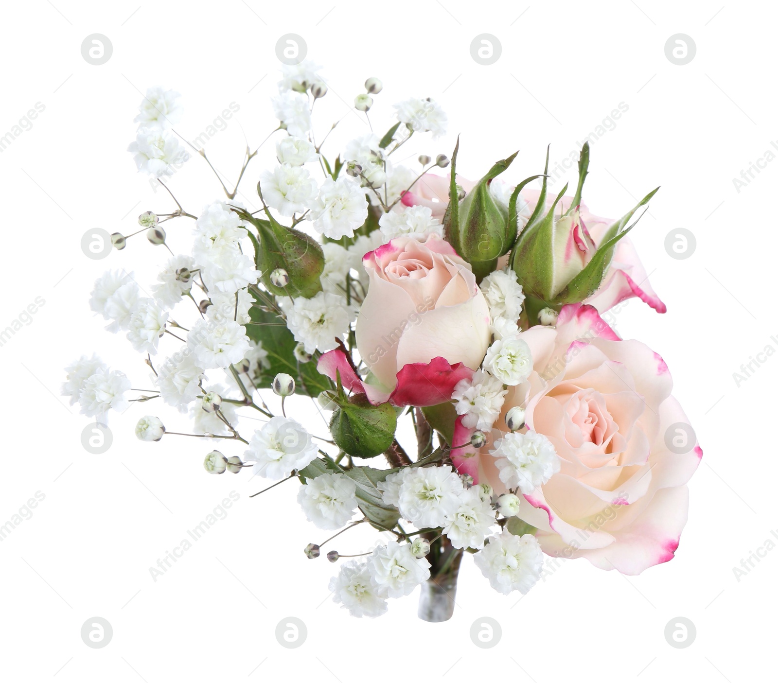 Bouquet with beautiful gypsophila and roses on white background Photo of Bouquet with beautiful gypsophila and roses on white background