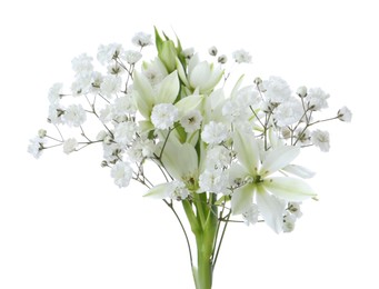 Photo of Bouquet with beautiful gypsophila and freesia on white background
