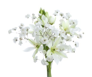 Photo of Bouquet with beautiful gypsophila and freesia on white background