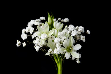 Photo of Bouquet with beautiful gypsophila and freesia on white background