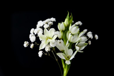 Photo of Bouquet with beautiful gypsophila and freesia on white background