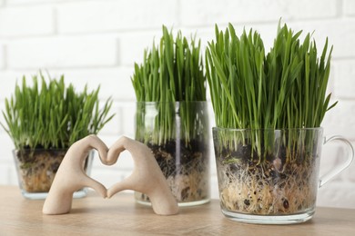 Photo of Wheat grass in transparent pots and decor on wooden table near white brick wall