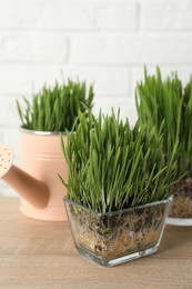 Photo of Wheat grass in transparent pots on wooden table near white brick wall