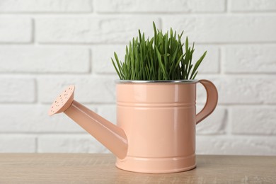 Photo of Wheat grass in pot on wooden table near white brick wall
