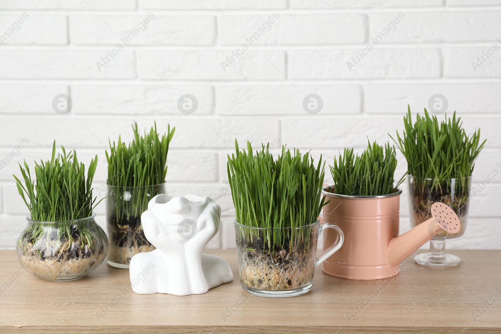 Wheat grass in transparent pots on wooden table near white brick wall Photo of Wheat grass in transparent pots on wooden table near white brick wall