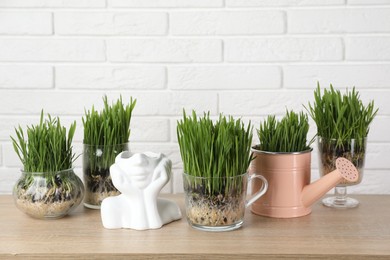 Photo of Wheat grass in transparent pots on wooden table near white brick wall