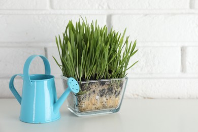 Photo of Wheat grass in transparent pot and watering can on table near white brick wall