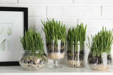 Photo of Wheat grass in transparent pots and framed poster on table near white brick wall