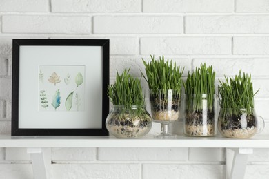Photo of Wheat grass in transparent pots and framed poster on shelf near white brick wall